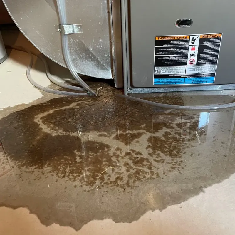 Pipe Burst and Leak Restoration in Niantic, CT