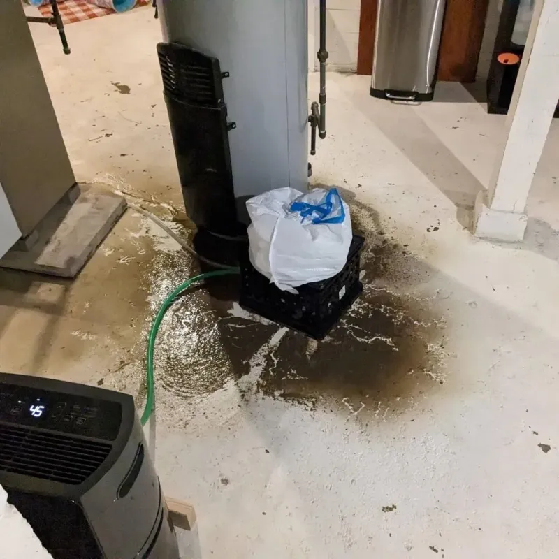 Sewage Backup Cleanup Service in Niantic, CT